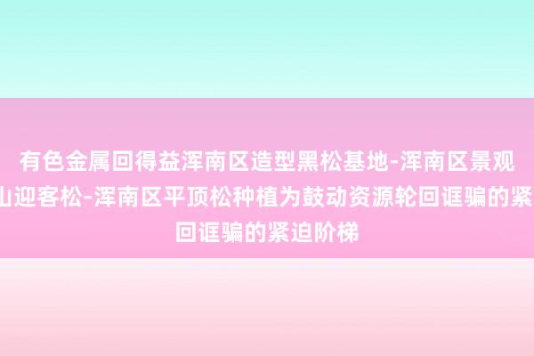 有色金属回得益浑南区造型黑松基地-浑南区景观松-泰山迎客松-浑南区平顶松种植为鼓动资源轮回诓骗的紧迫阶梯